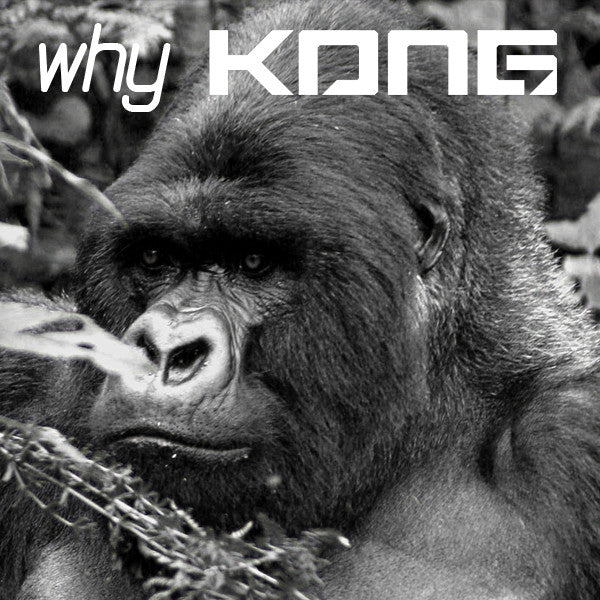 Why KONG?